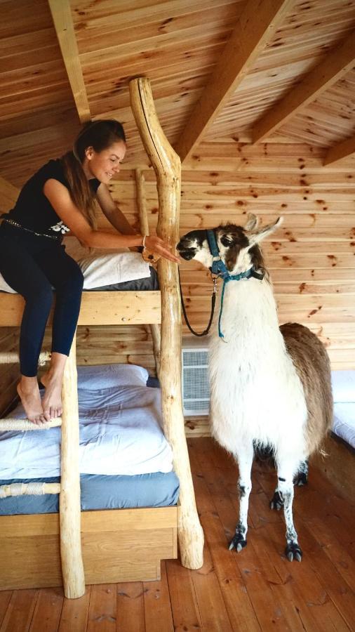 Cozy Wood Hut On The Farm Villa Trebivlice ภายนอก รูปภาพ
